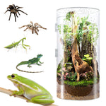 Acrylic Tarantula Enclosure Jumping Spider Enclosure with Front Opening Door Micro Habitat Terrarium for Small Tree Dwelling Reptiles, Spiders & Invertebrates