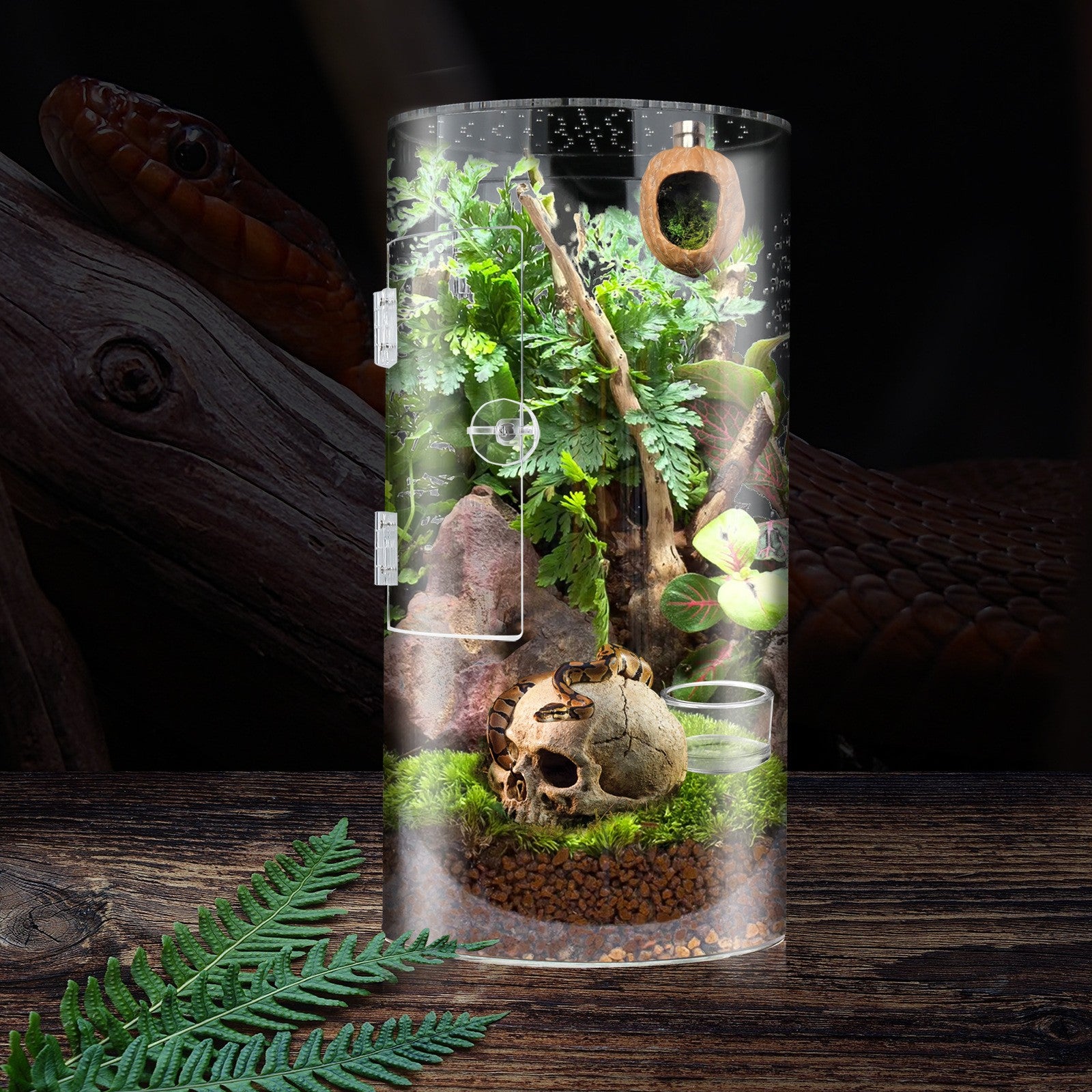 Acrylic Tarantula Enclosure Jumping Spider Enclosure with Front Opening Door Micro Habitat Terrarium for Small Tree Dwelling Reptiles, Spiders & Invertebrates